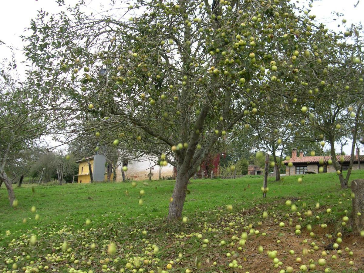Gasthaus Turismo Rural El Sidron Piloña Exterior foto